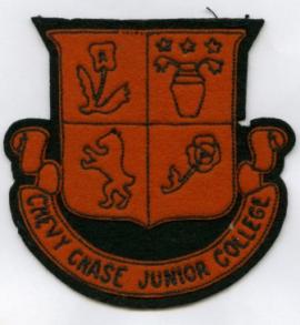 College Patch