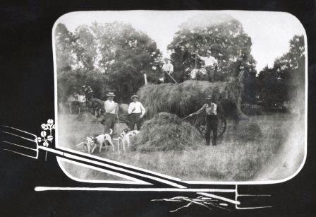 Image of haying at Pleasant Grove c. 1920-21