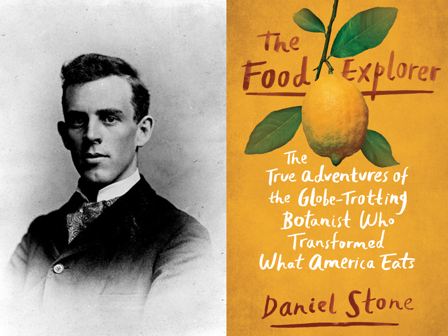 Book cover for "The Food Explorer" by Daniel Stone and a black and white photo of David Fairchild